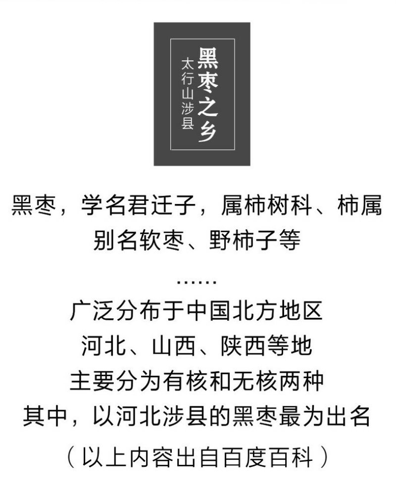 太行山野生老树无核黑枣