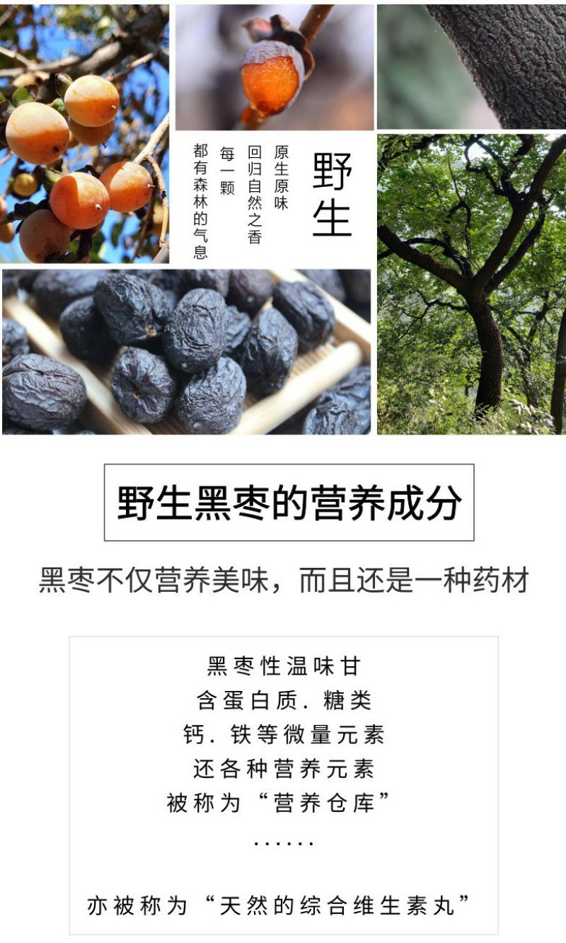太行山野生老树无核黑枣