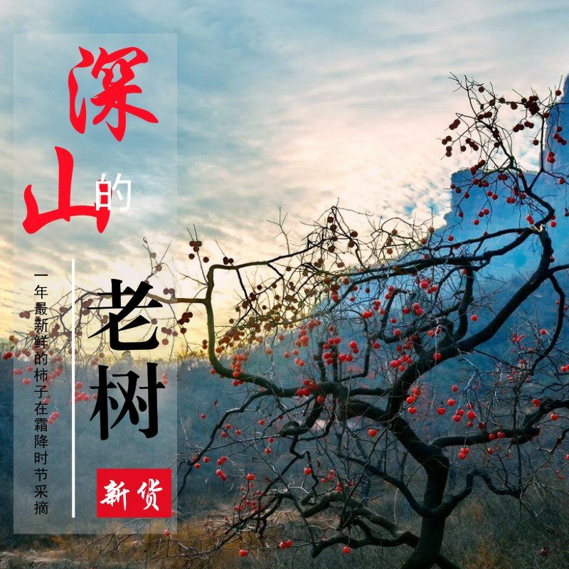 太行山野生吊柿饼