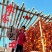 太行山野生吊柿饼