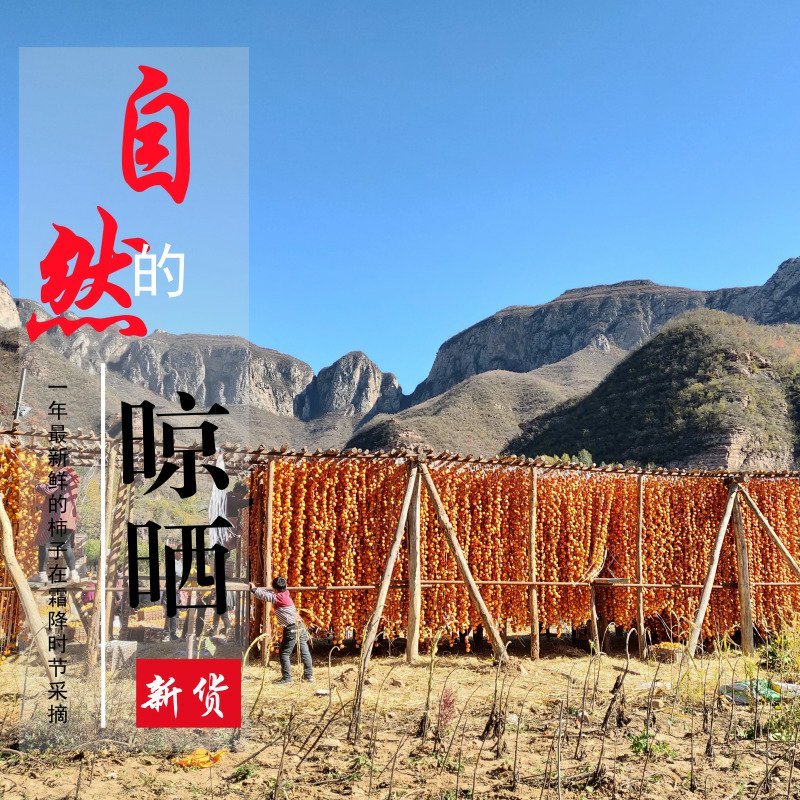太行山野生吊柿饼