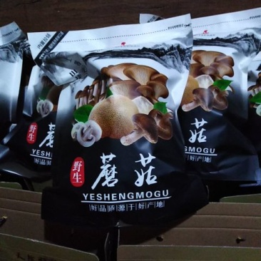 野生蘑菇纯辽宁开原山中特产一手货源质量保证全国发货