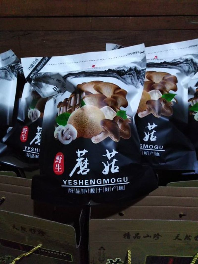 野生蘑菇纯辽宁开原山中特产一手货源质量保证全国发货