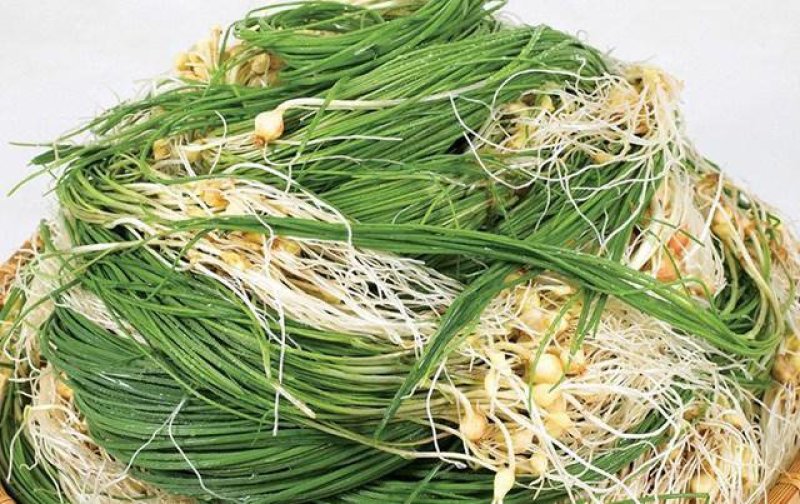 各种野菜，绿色食品