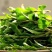 各种野菜，绿色食品