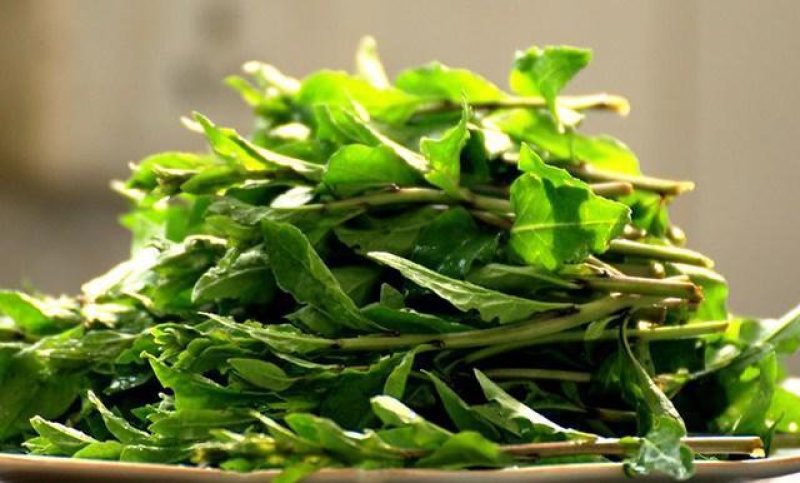 各种野菜，绿色食品