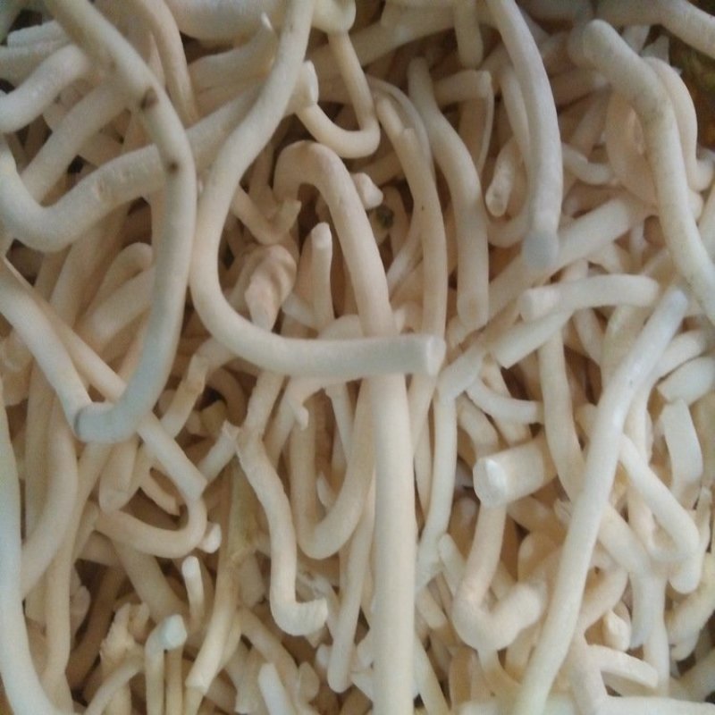 小通草一袋500克批发各种规格中药材
