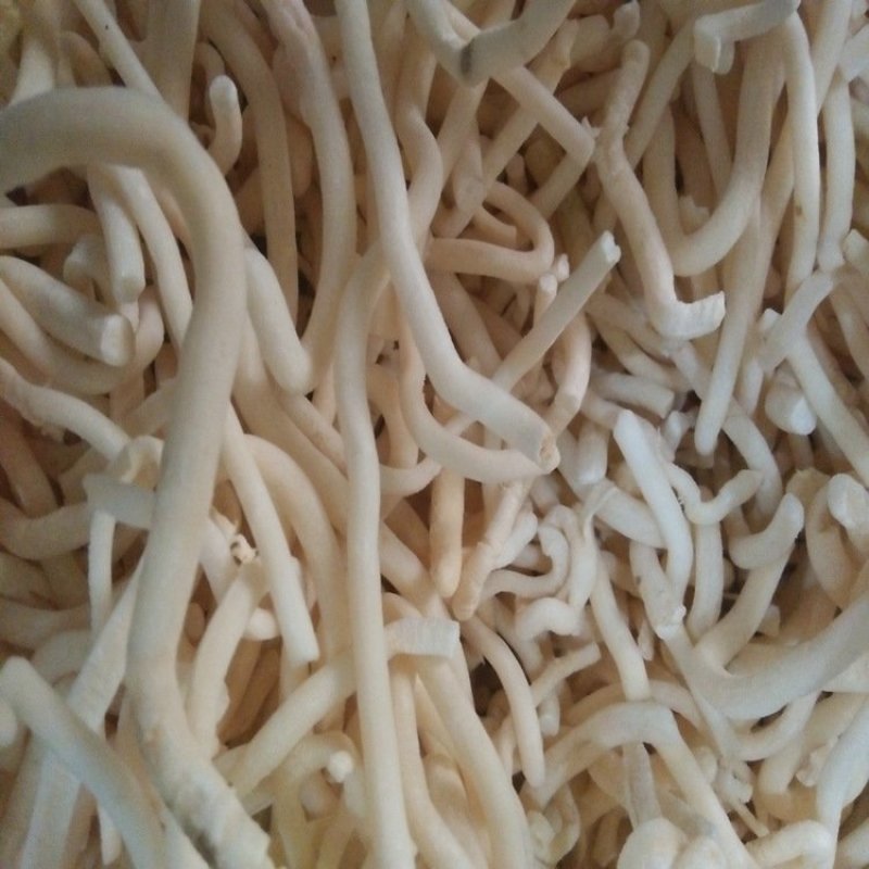 小通草一袋500克批发各种规格中药材