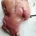 全熟牛头肉