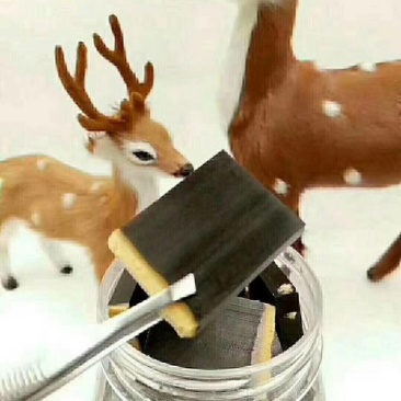 【鹿场直供】鹿角胶温补肝肾益精养血血虚头晕疲劳消瘦