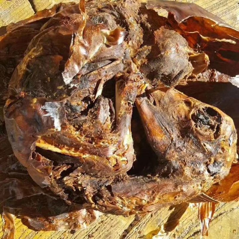 自营鹿场干鹿胎鹿胎盘熬鹿胎膏滋补膏原料整个打粉包邮