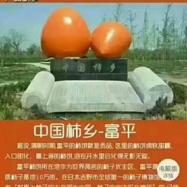 富平庄里王庄大队三庄村柿饼