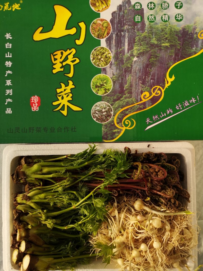 山野菜礼盒