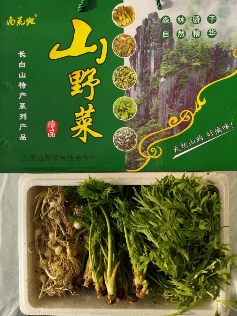 山野菜礼盒
