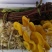 山野菜礼盒
