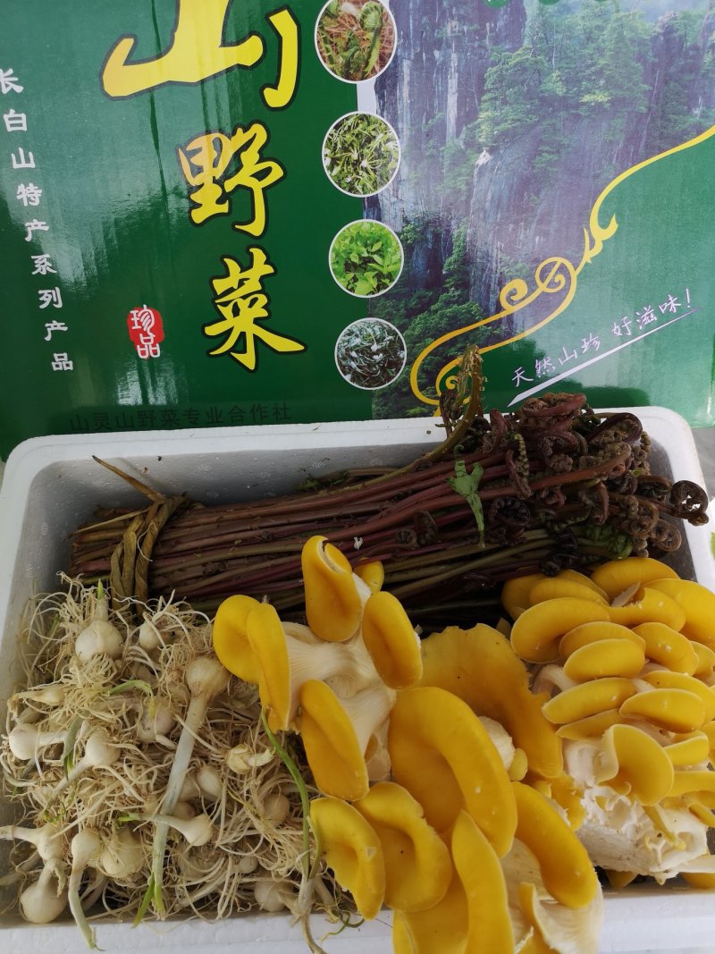 山野菜礼盒