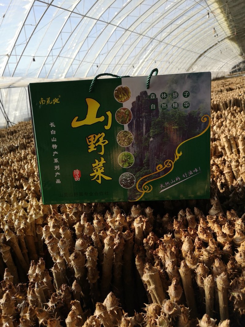 山野菜礼盒