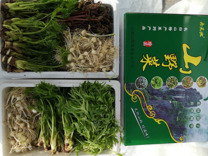 山野菜礼盒
