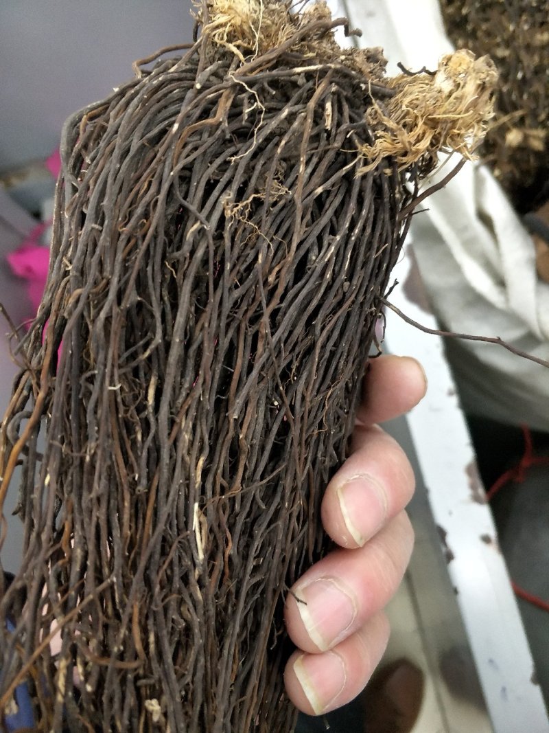 威灵仙辽宁选个水洗包含量