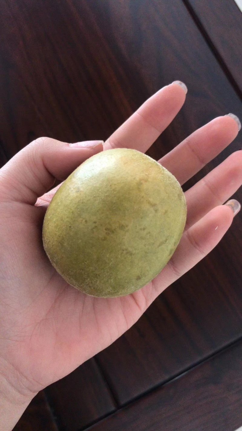 冻干罗汉果
