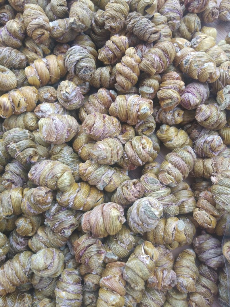 金福堂铁皮石斛枫斗新货品质量，肉质饱满，一手货源批发