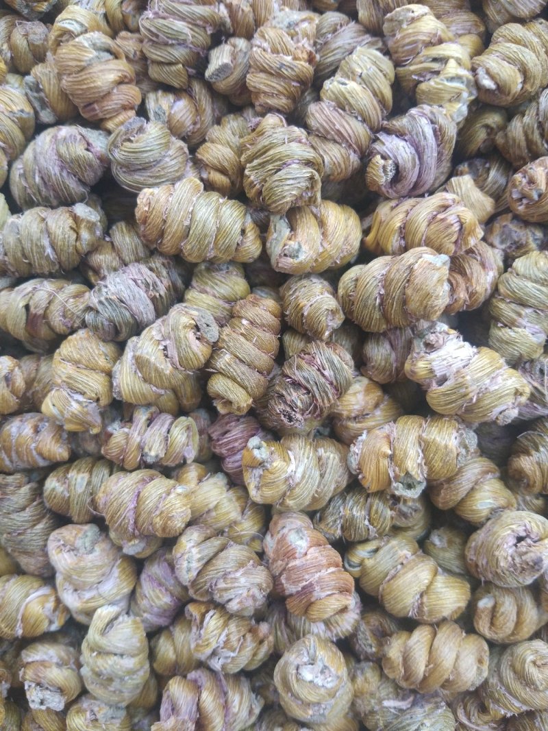 金福堂铁皮石斛枫斗新货品质量，肉质饱满，一手货源批发