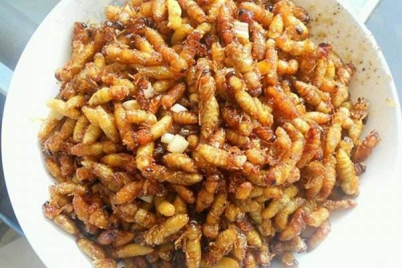 湖南湘西特产