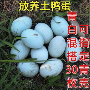 湖南湘西特产