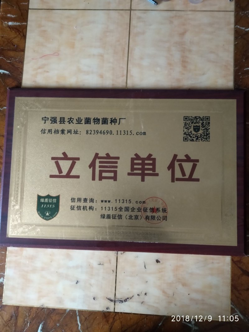 蜜环菌种厂家直销天麻猪苓种植专用蜜环菌