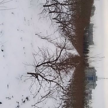 雪后农场