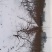 雪后农场