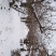 雪后农场