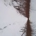 雪后农场
