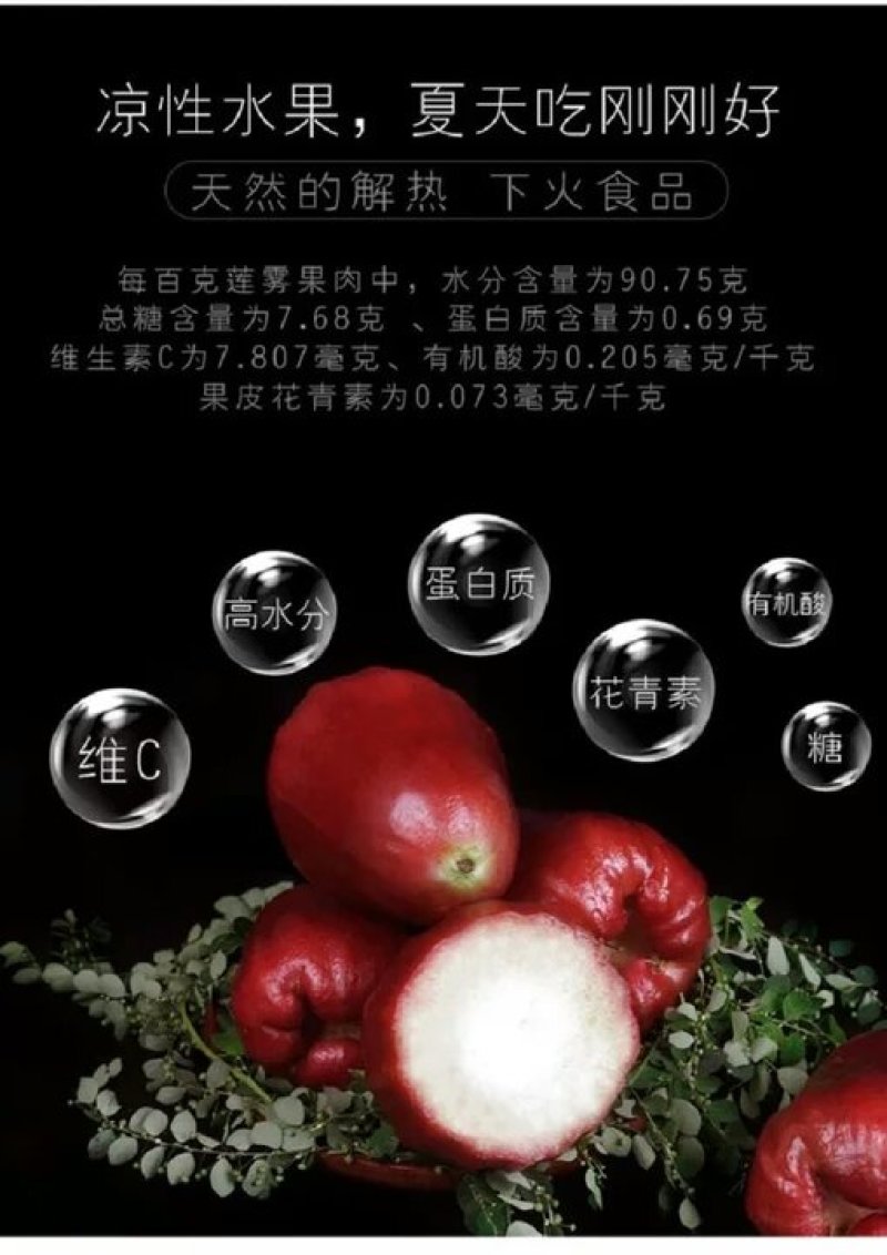 莲雾果树苗(大称砣)0.6米高左右中杯苗次年可结果