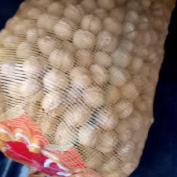 核桃