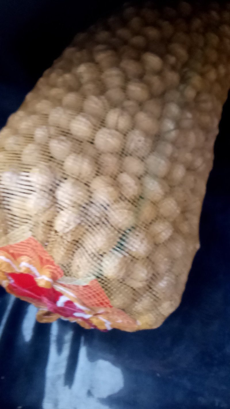 核桃