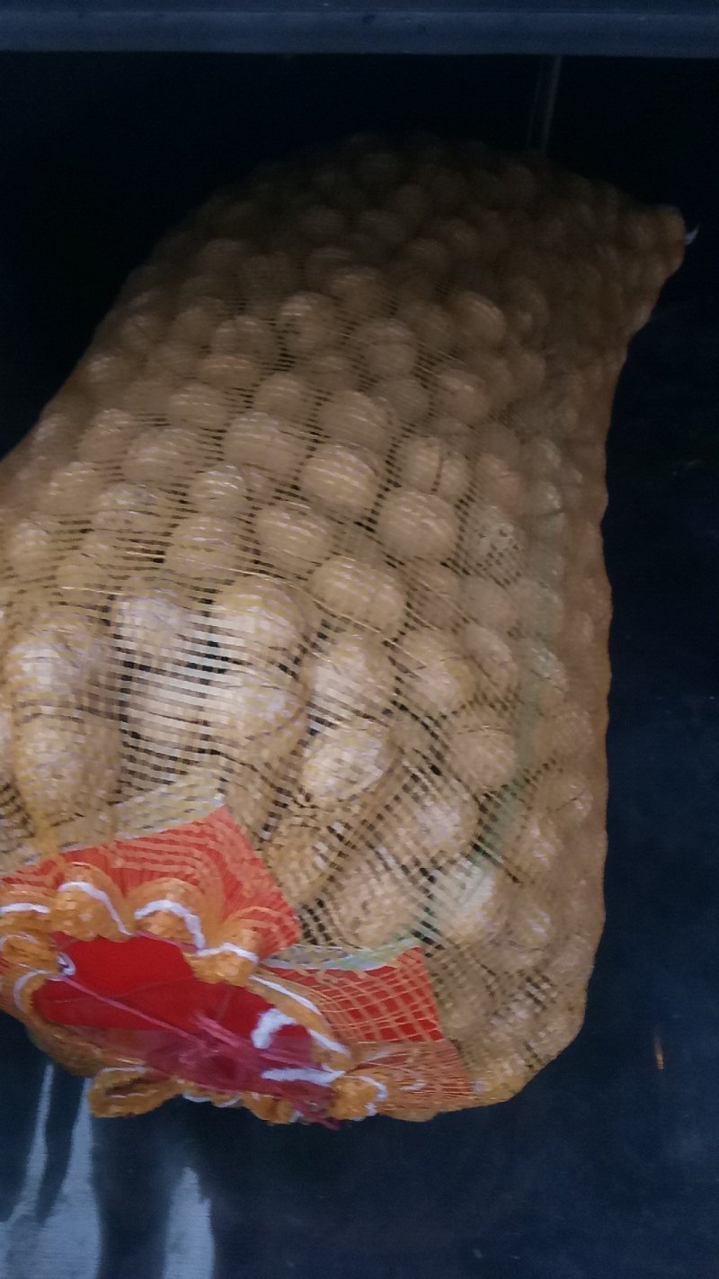 核桃