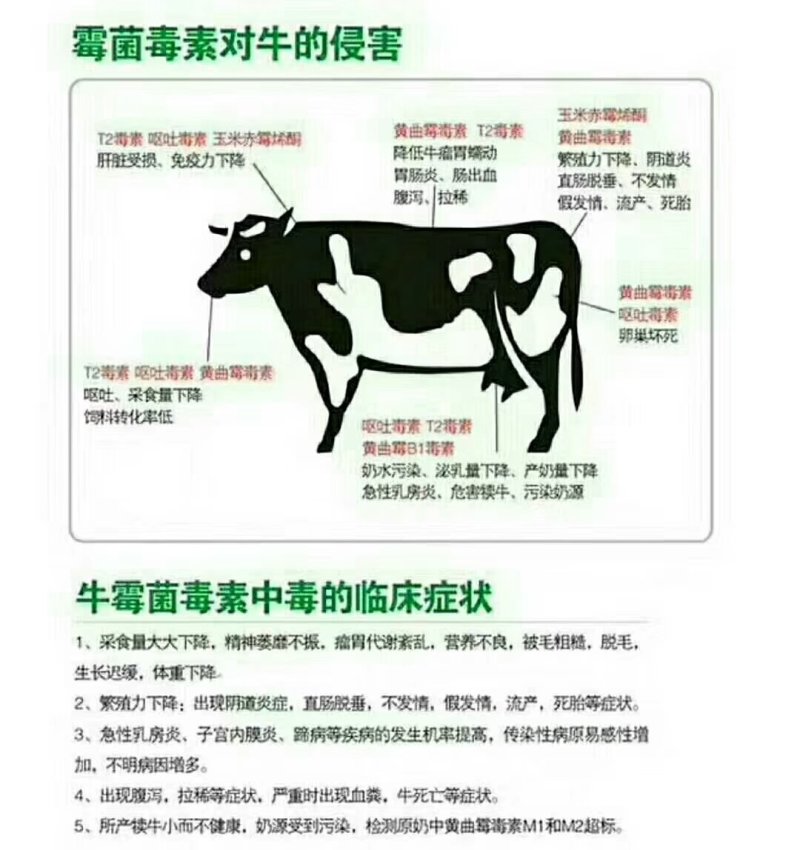 饲料添加剂进口脱霉剂养肝护肾排毒解毒肠道好吸附毒素