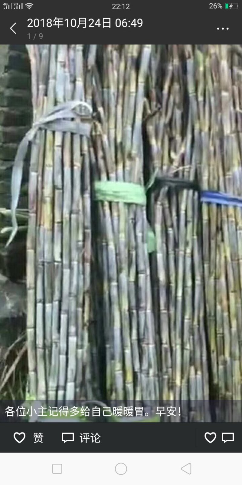 濯田红糖(东方巧克力）