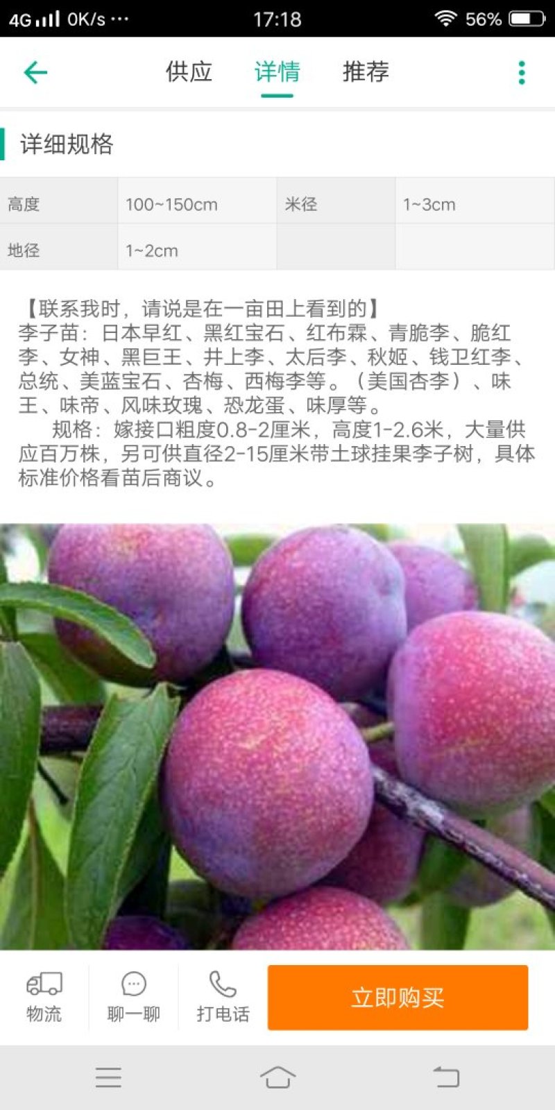 前卫红李