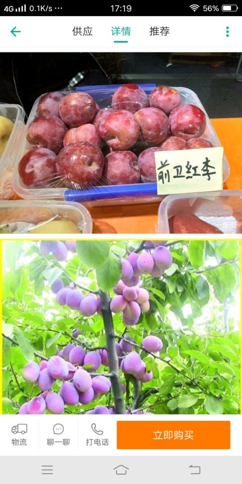 前卫红李