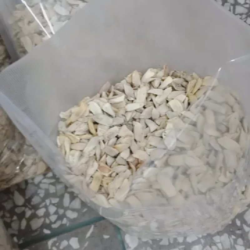 柚子种子酸柚种子土柚种子嫁接柚子苗种子香泡种子