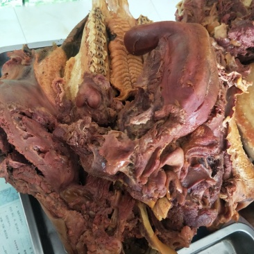 驴肉，板肠，套肠，驴腰子，驴肝，驴蹄，