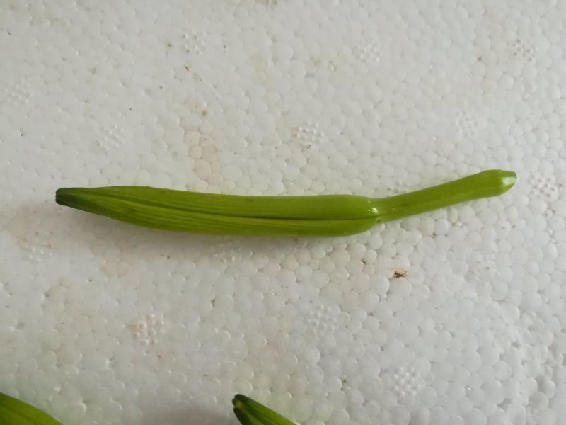 鲜黄花菜新鲜基地直销，黄花菜质量杠杠杠滴价格便宜