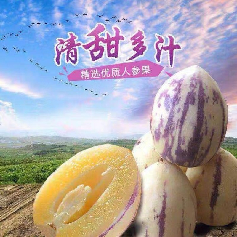 人参果3~4两以上五斤装民勤人参果