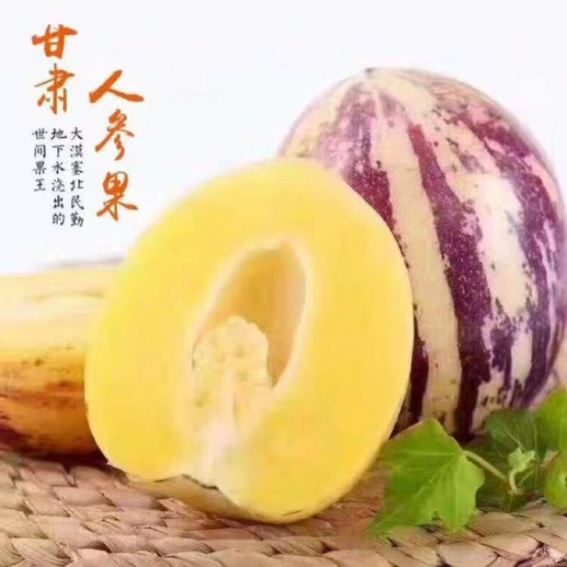 人参果3~4两以上五斤装民勤人参果