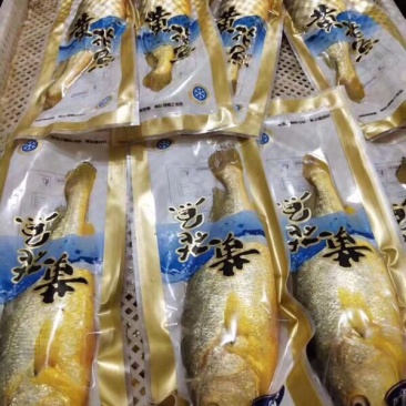 黄花鱼单条速冻一箱20斤