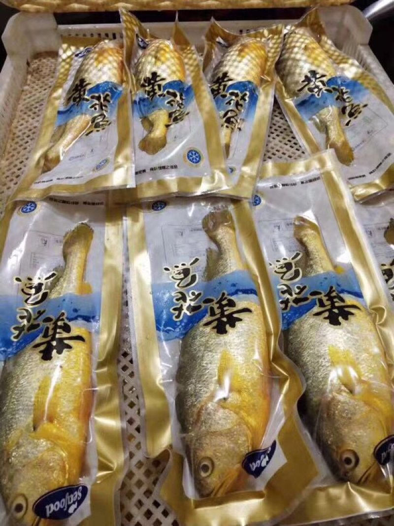 黄花鱼单条速冻一箱20斤