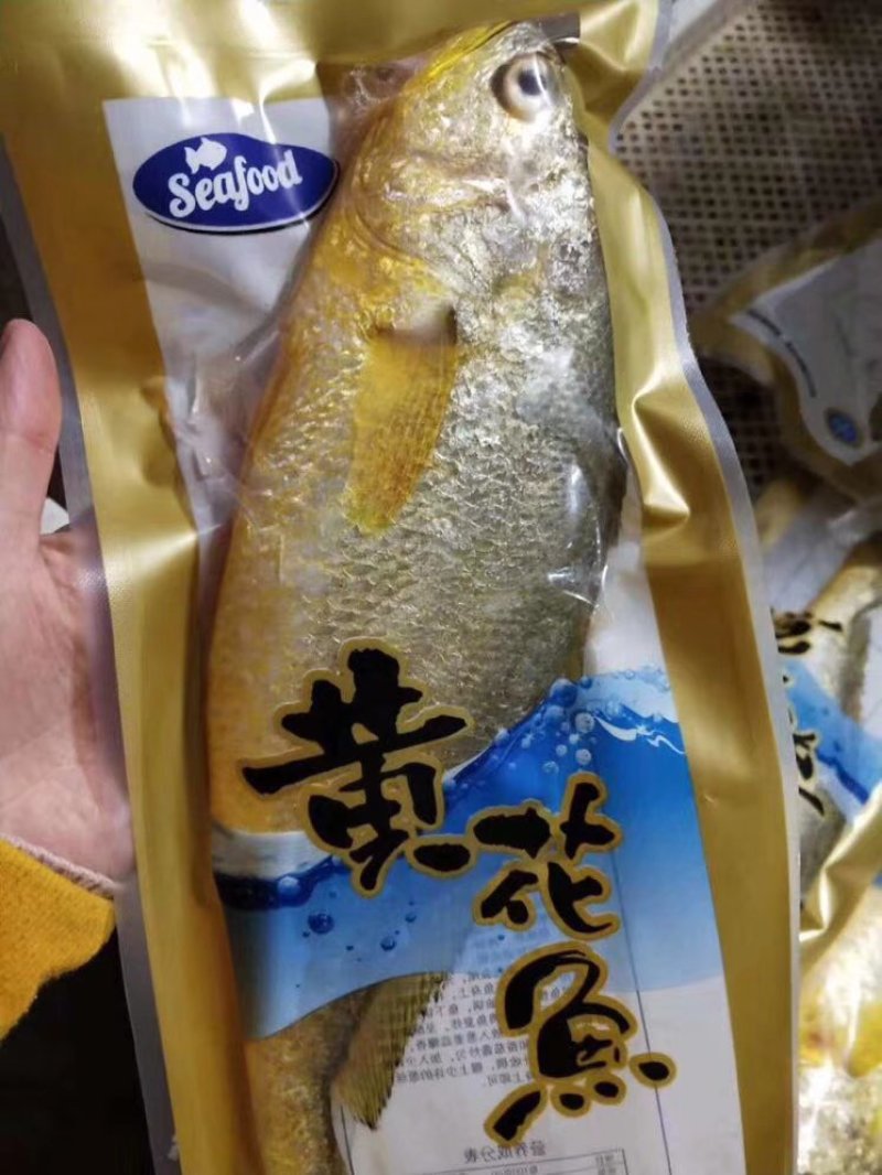 黄花鱼单条速冻一箱20斤