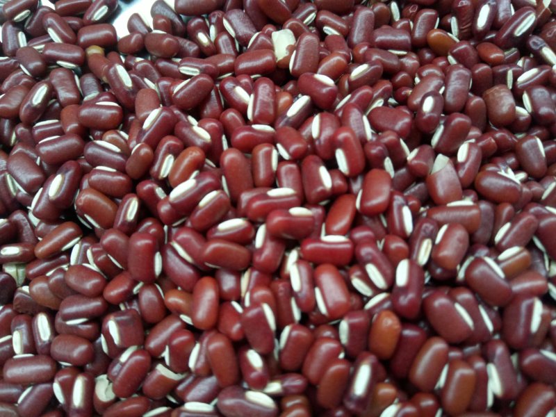 赤小豆长粒正品颜色光亮干净无虫驻新货每袋49.5斤批发